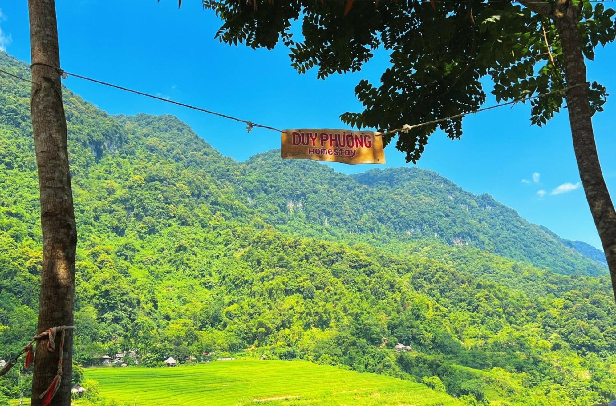 Pu Luong - Duy Phuong Homestay Thanh Hóa エクステリア 写真